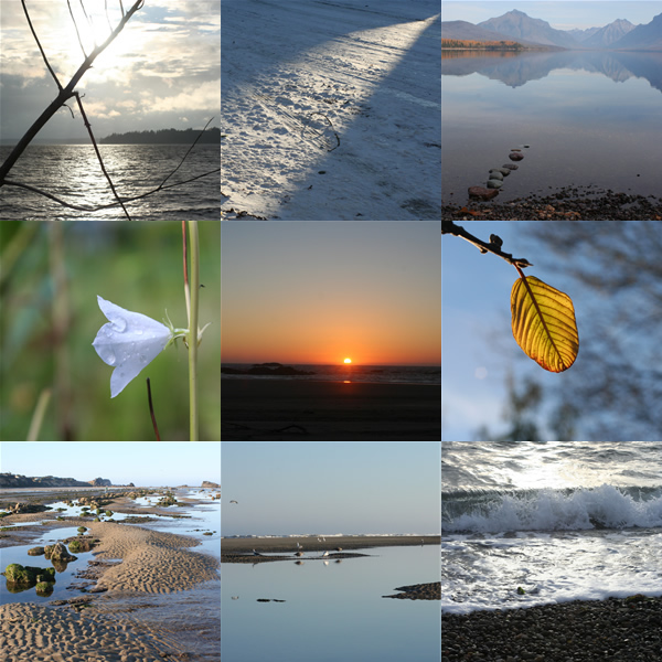 brones-no-restrictions1