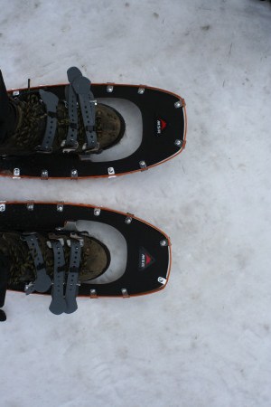 snowshoe1