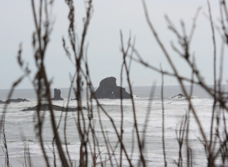 oregon-coast-indian-beach1