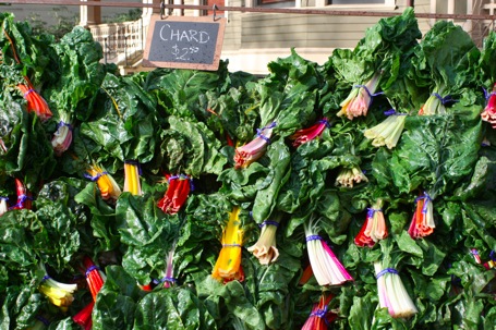 PDX Farmers Mkt - Chard