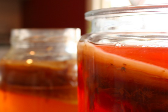 kombucha