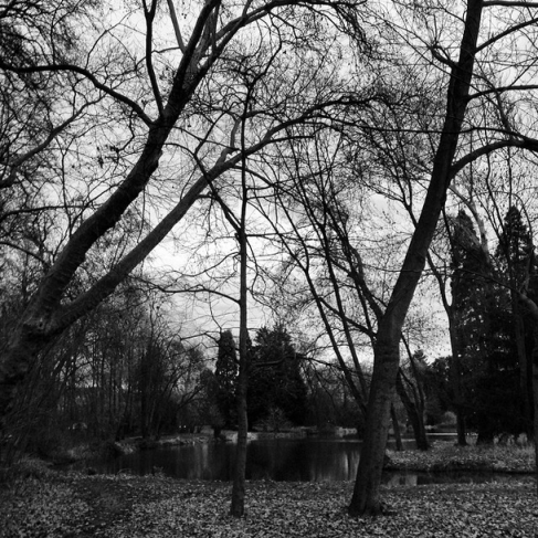 Screen shot 2014-03-03 at 2.57.37 PM