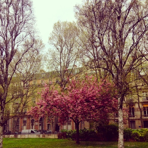 1000 Miles.Anna Brones