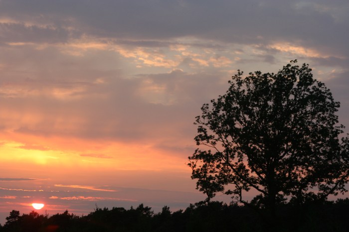 Swedish Midnight Sun by Anna Brones