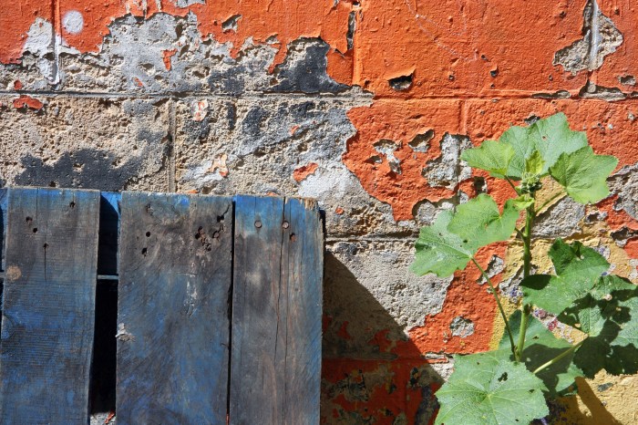 Les Jardins du Ruisseau by Anna Brones