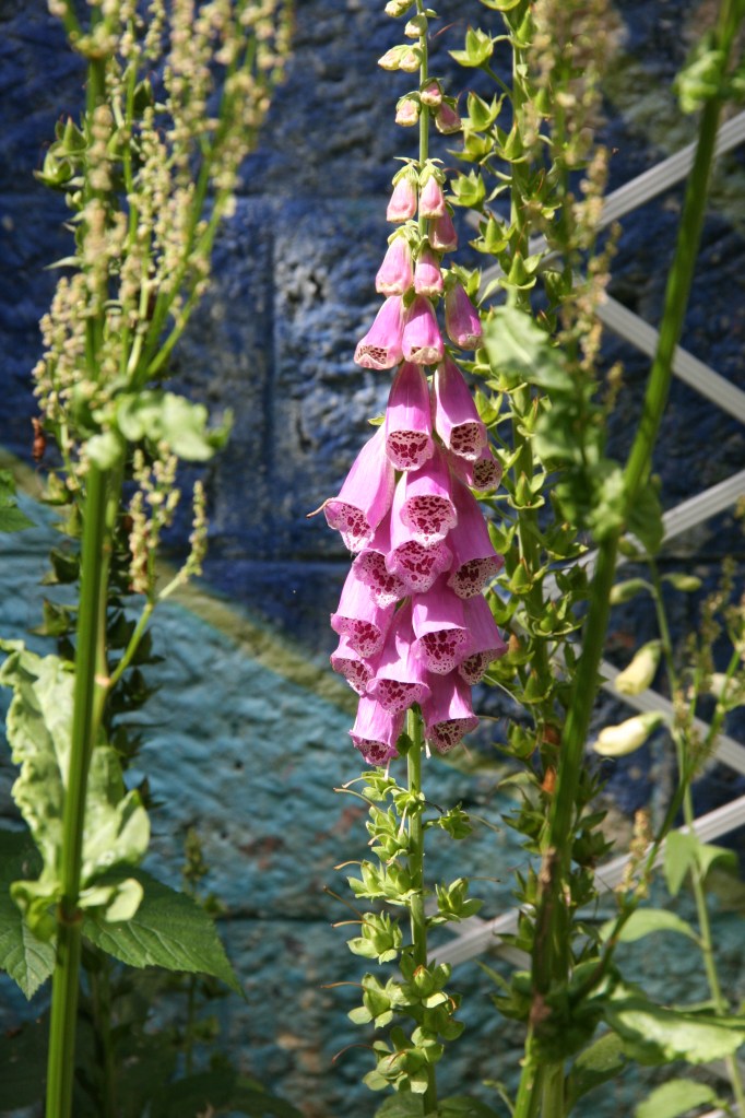 Les Jardins du Ruisseau by Anna Brones