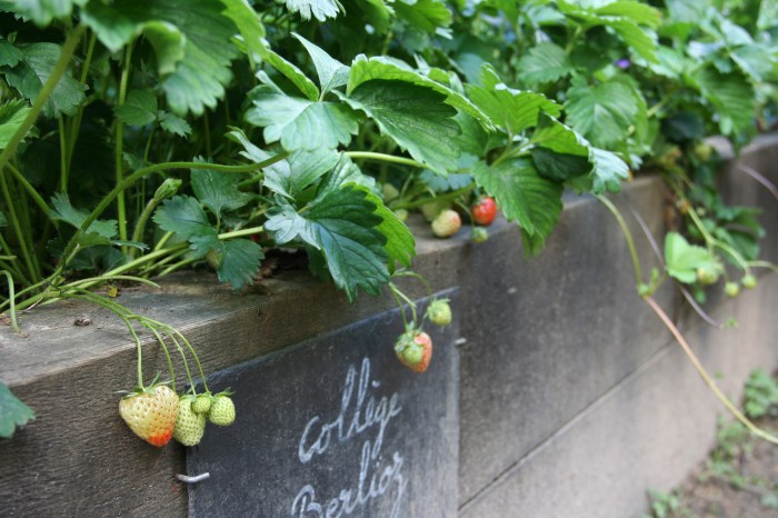 Les Jardins du Ruisseau by Anna Brones