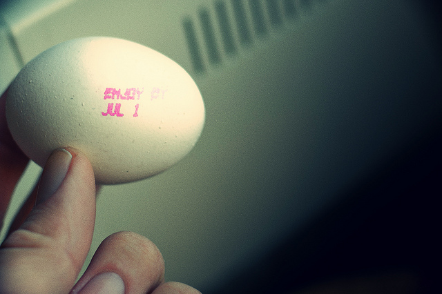 4740025131_eb798b291c_z