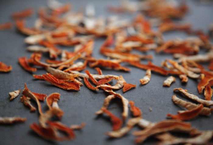 Dried Citrus Peel by Anna Brones