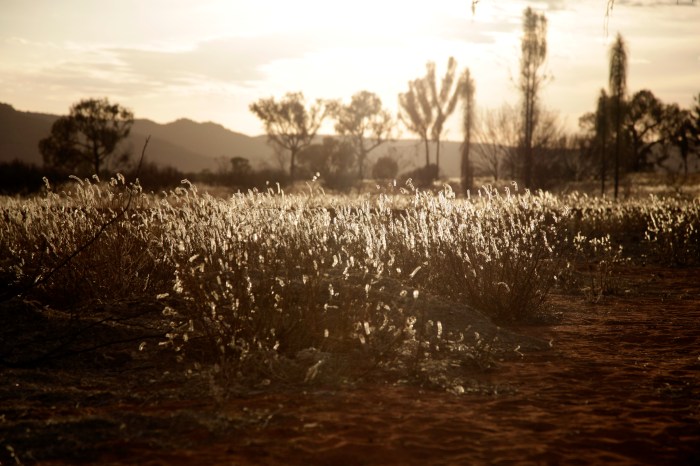 Traveling on The Ghan: Australia's Transcontinental Train  photo by Anna Brones