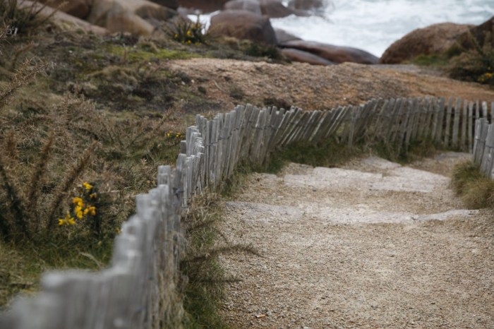 Path in Brittany by Anna Brones