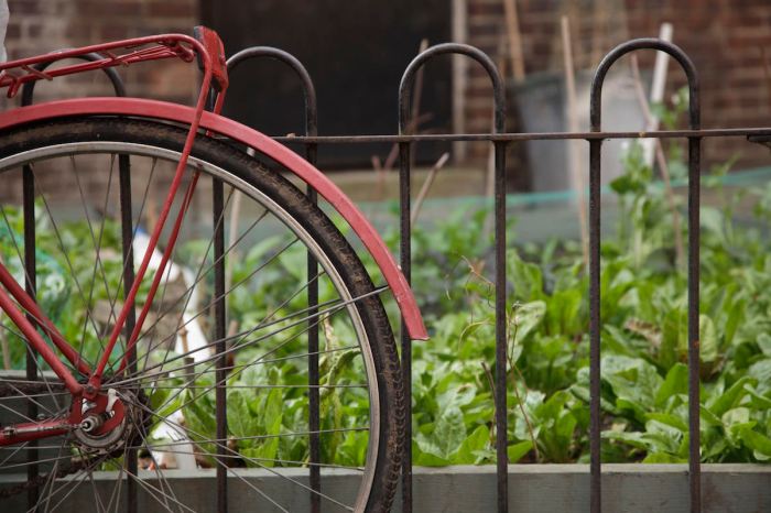 bike and garden by Anna Brones