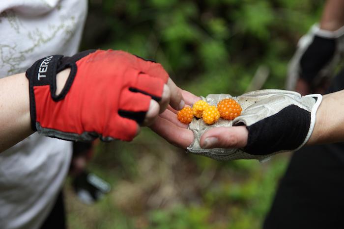 Bikepacking on the Olympic Adventure Route with Komorebi Cycling Team